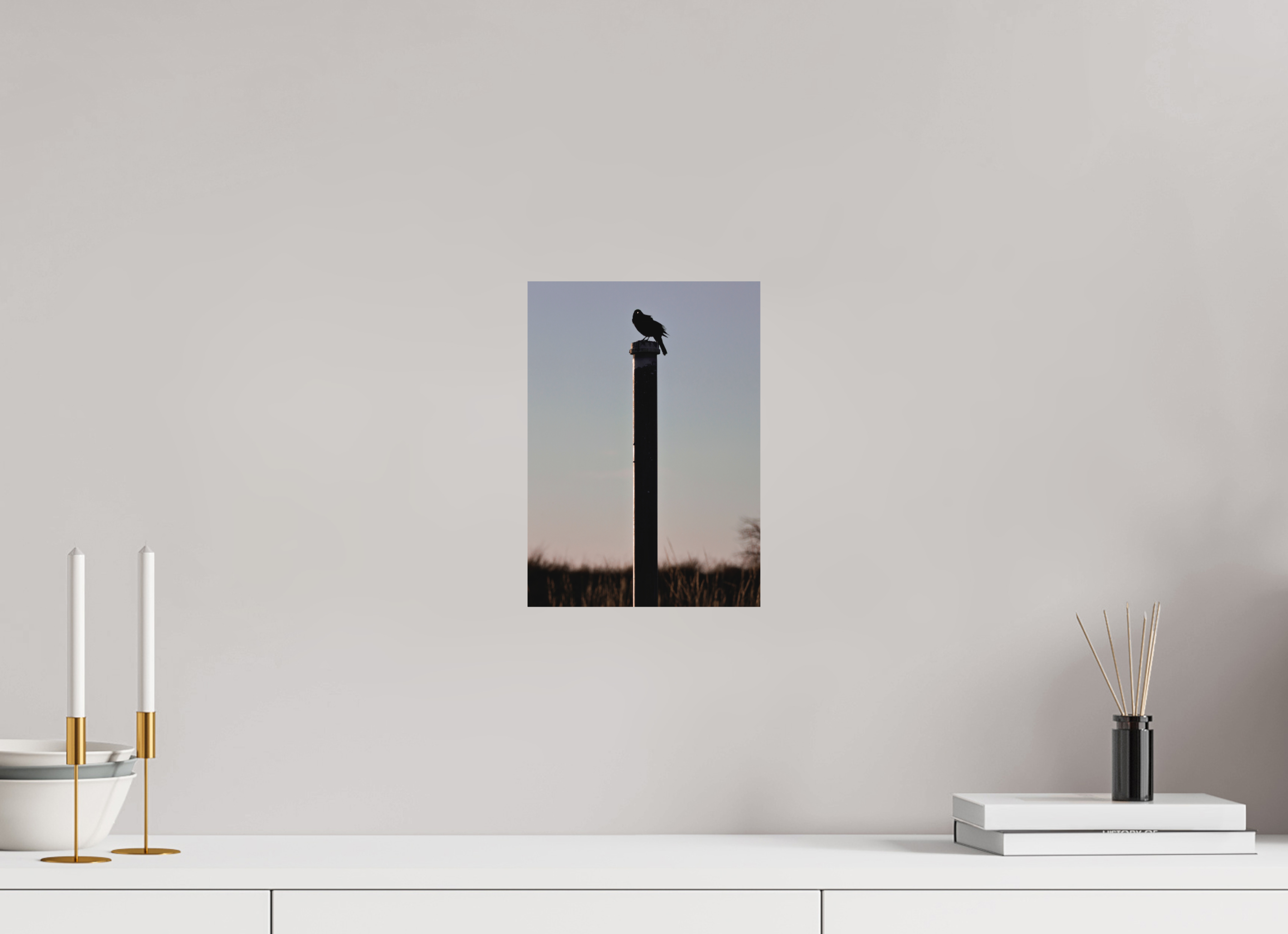 8 x 11.2″, Aluminum-Backed Matte Print Stare of a Blackbird