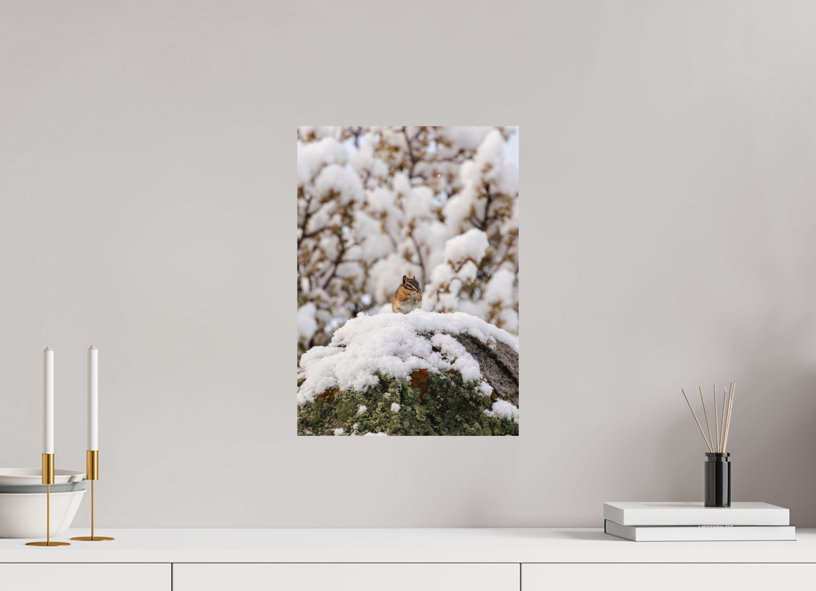 12 x 16.8″, Aluminum-Backed Matte Print Chipmunk on a Snowy Morning