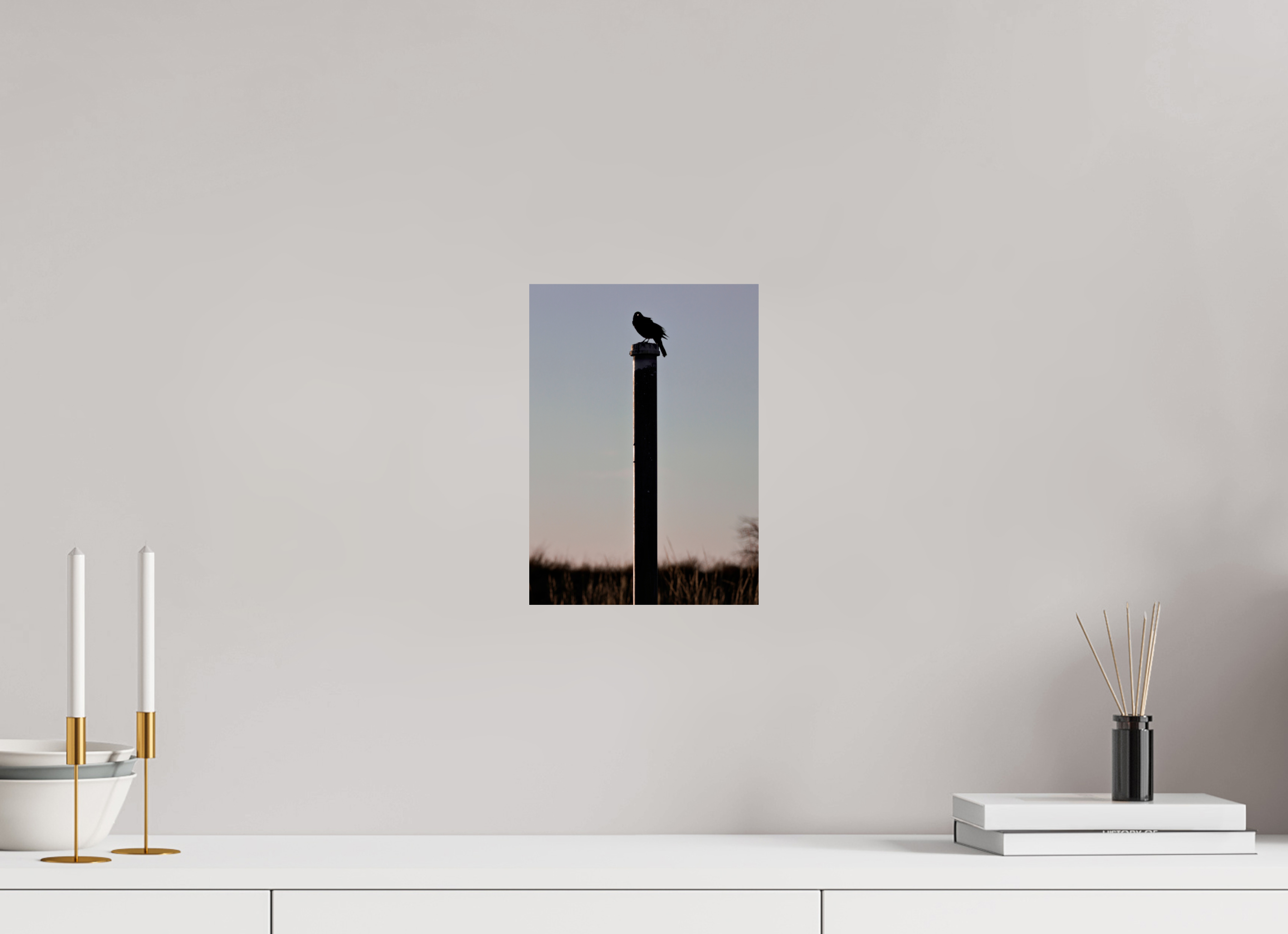 8 x 11.2″, Glossy Print Stare of a Blackbird