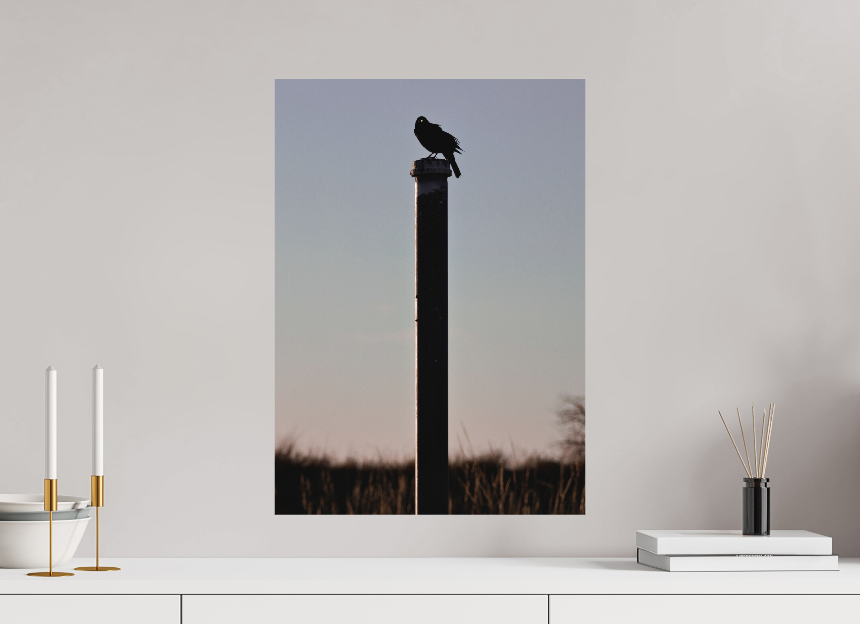 16 x 22.4″, Aluminum-Backed Matte Print Stare of a Blackbird