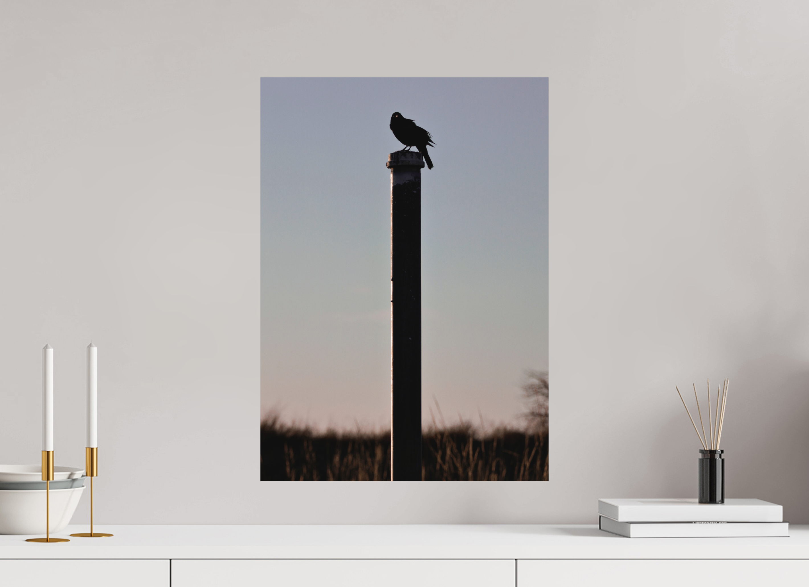 16 x 22.4″, Matte Print Stare of a Blackbird