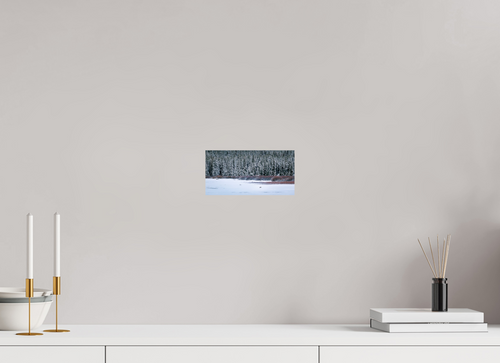 8 x 4″, Glossy Print Coyote by the Frozen Lake
