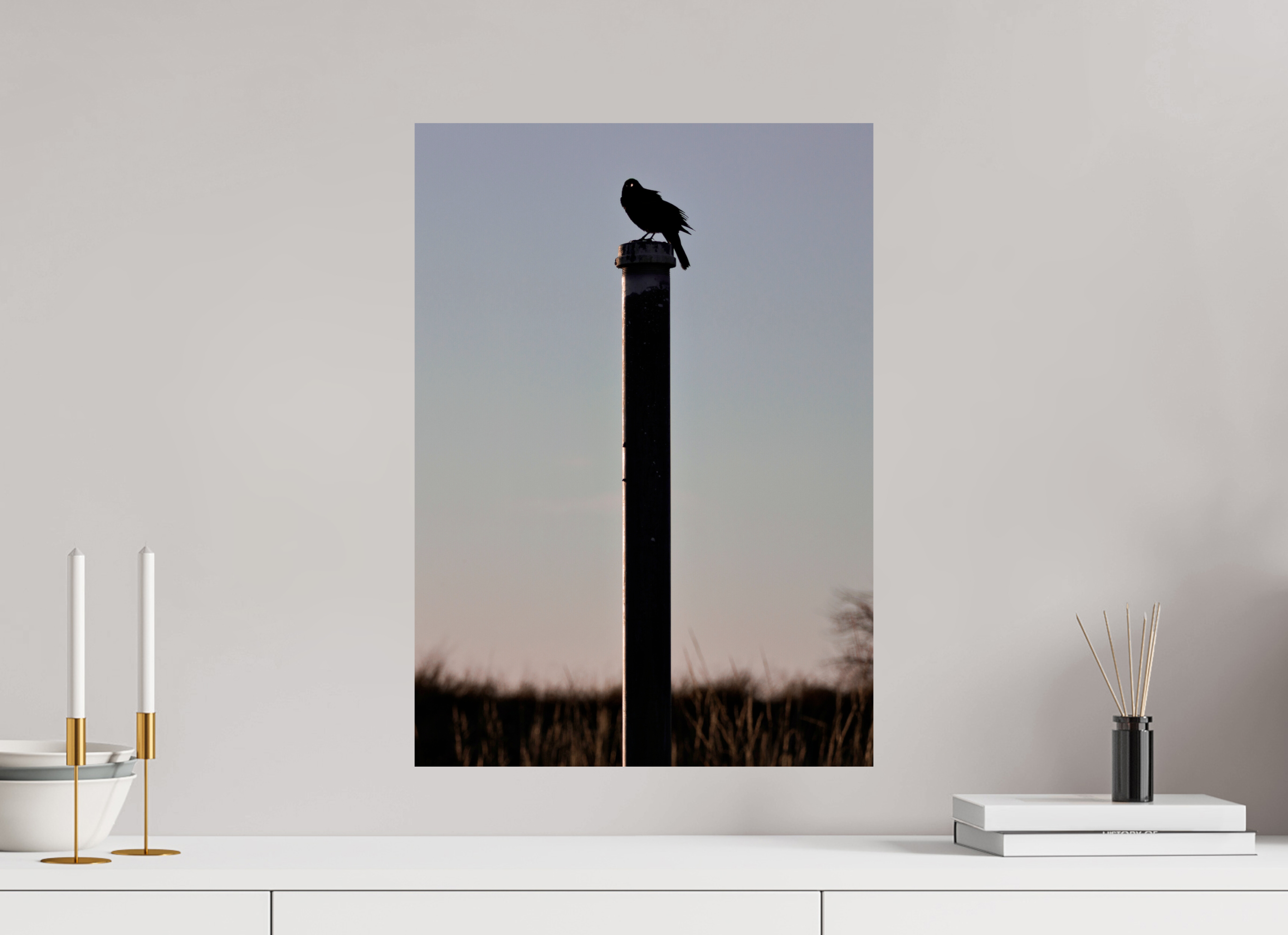 16 x 22.4″, Glossy Print Stare of a Blackbird