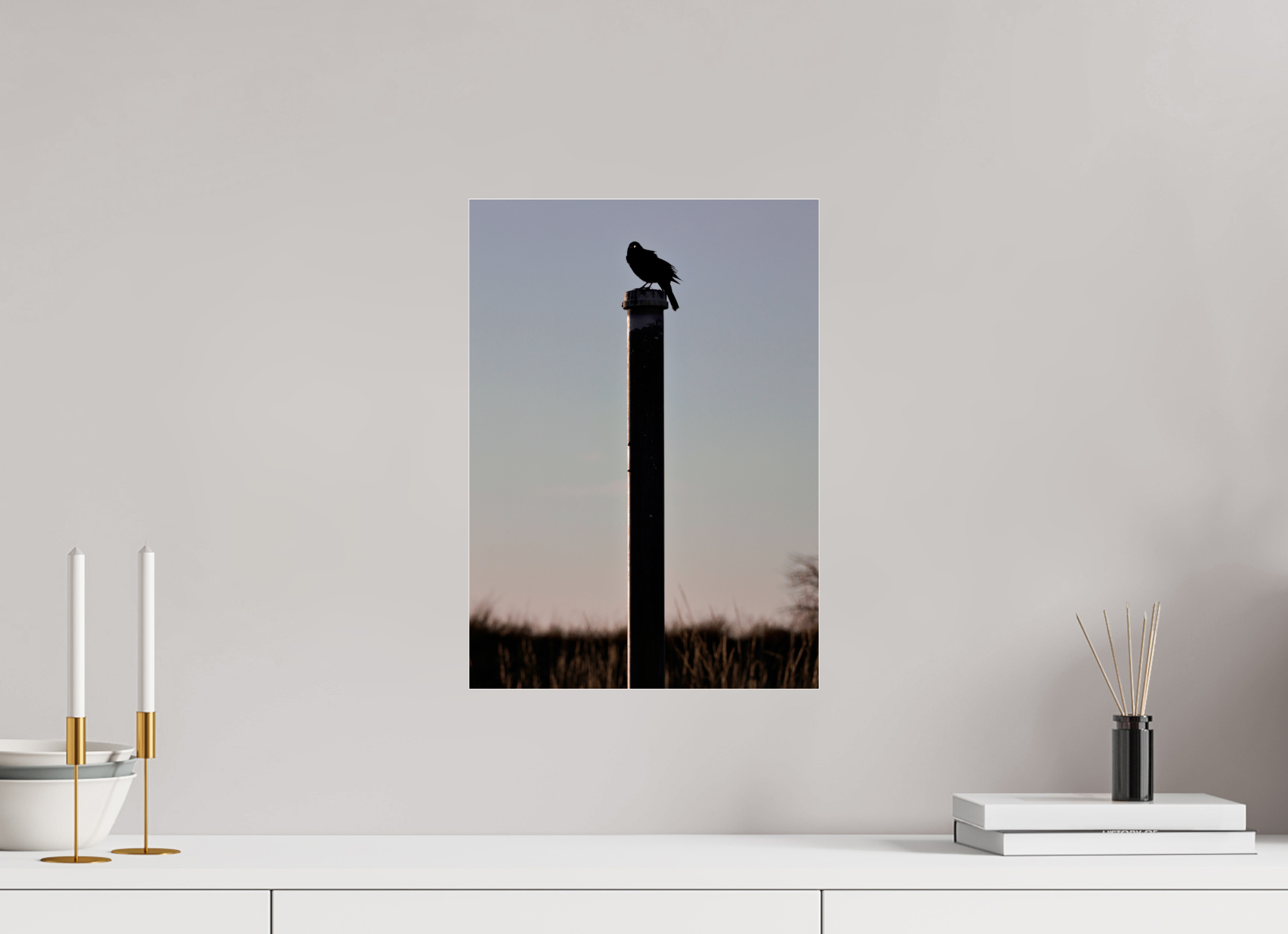 12 x 16.8″, Print Under Acrylic Stare of a Blackbird