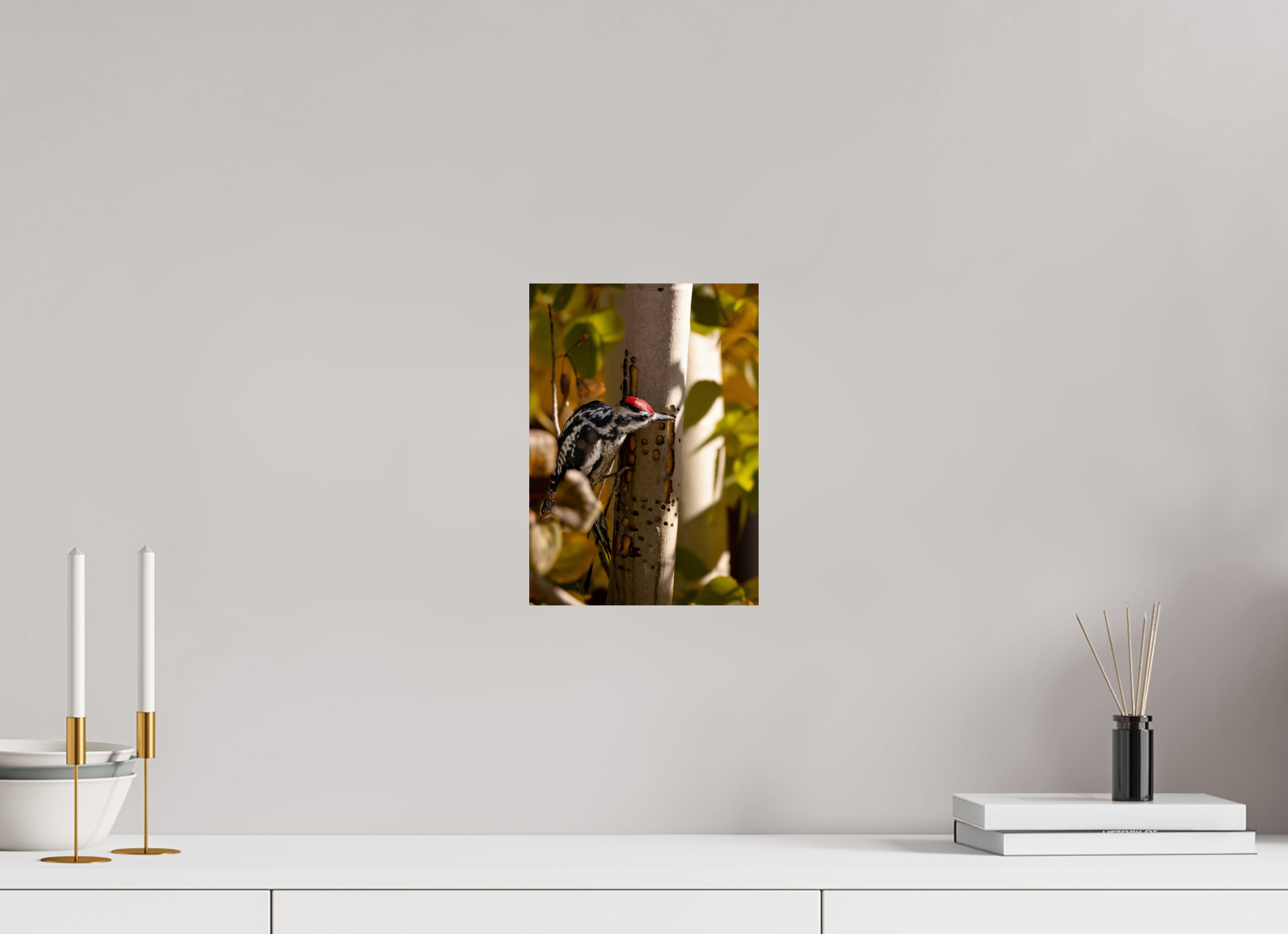 8 x 11.2″, Ultra Glossy Print Downey on the Lookout