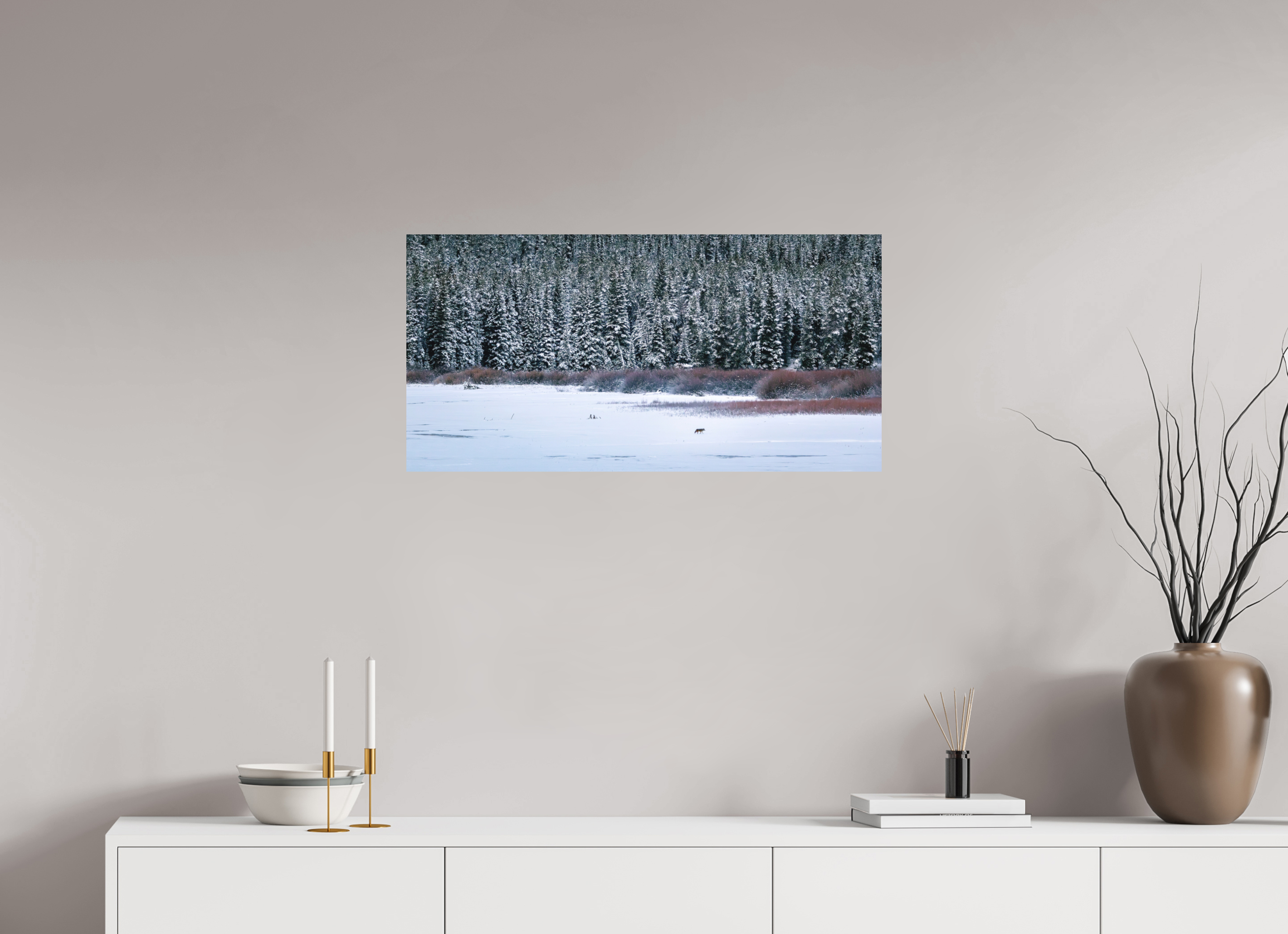 32 x 16″, Aluminum-Backed Matte Print Coyote by the Frozen Lake