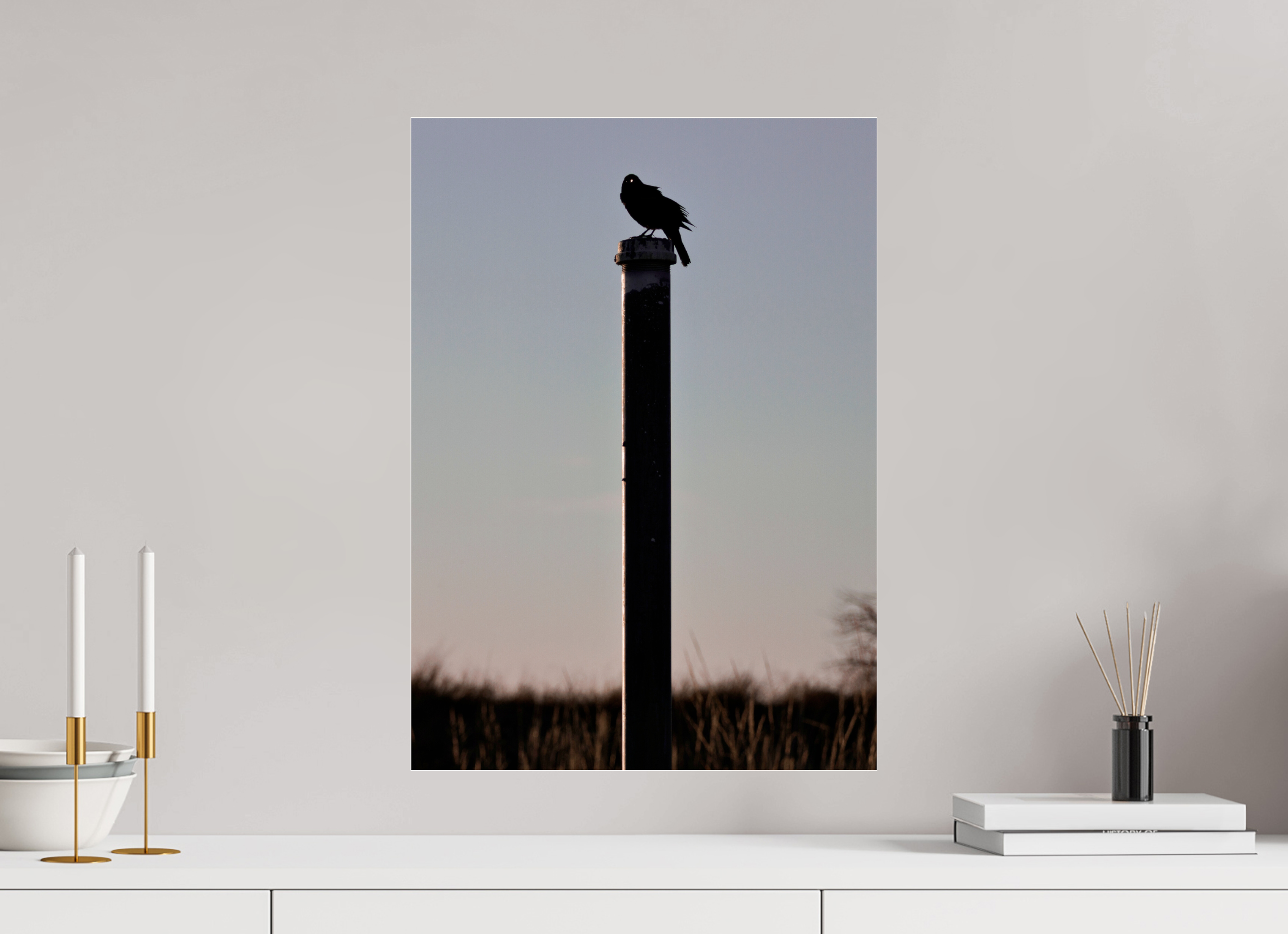 16 x 22.4″, Print Under Acrylic Stare of a Blackbird