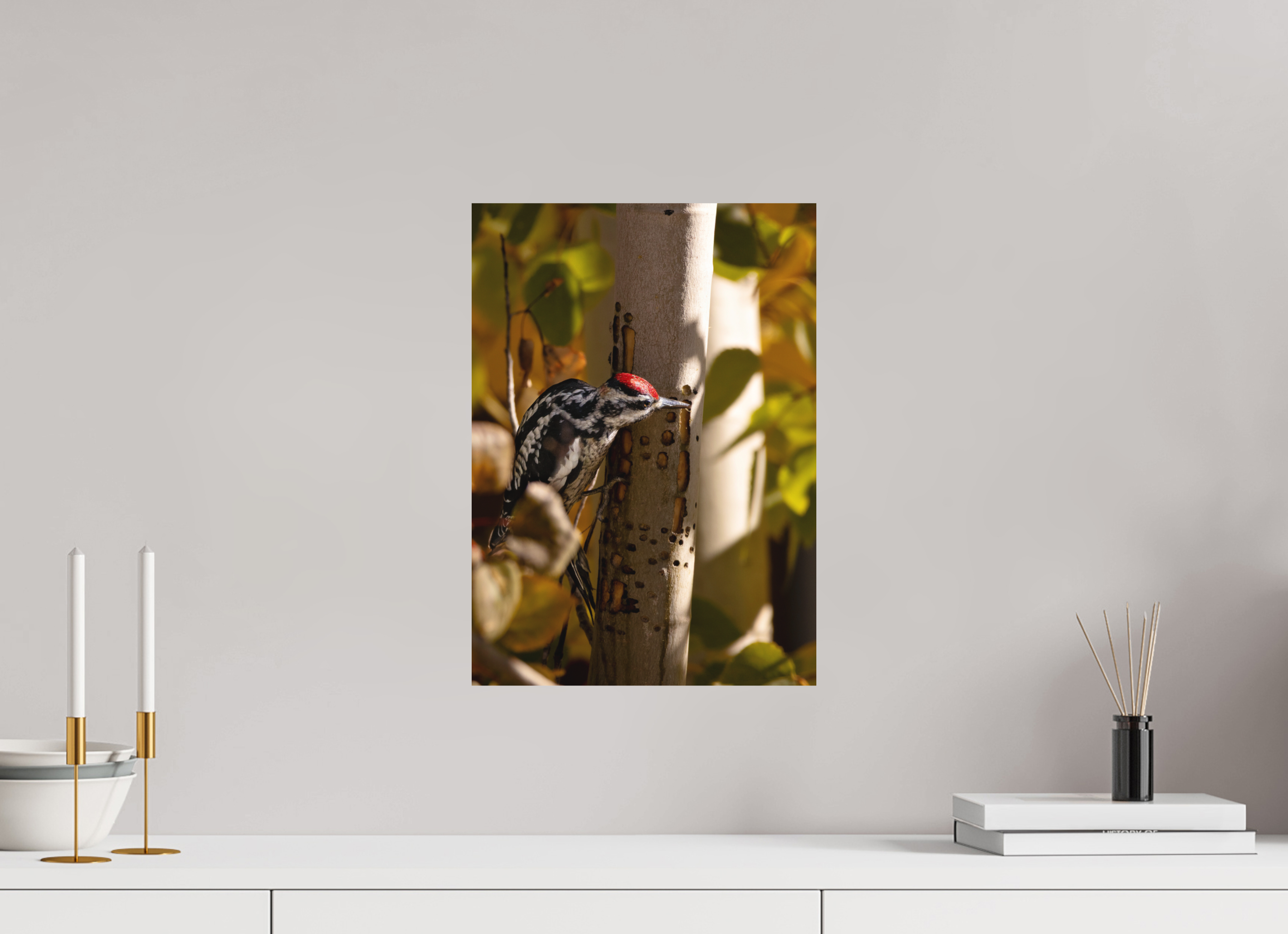 12 x 16.8″, Matte Print Downey on the Lookout
