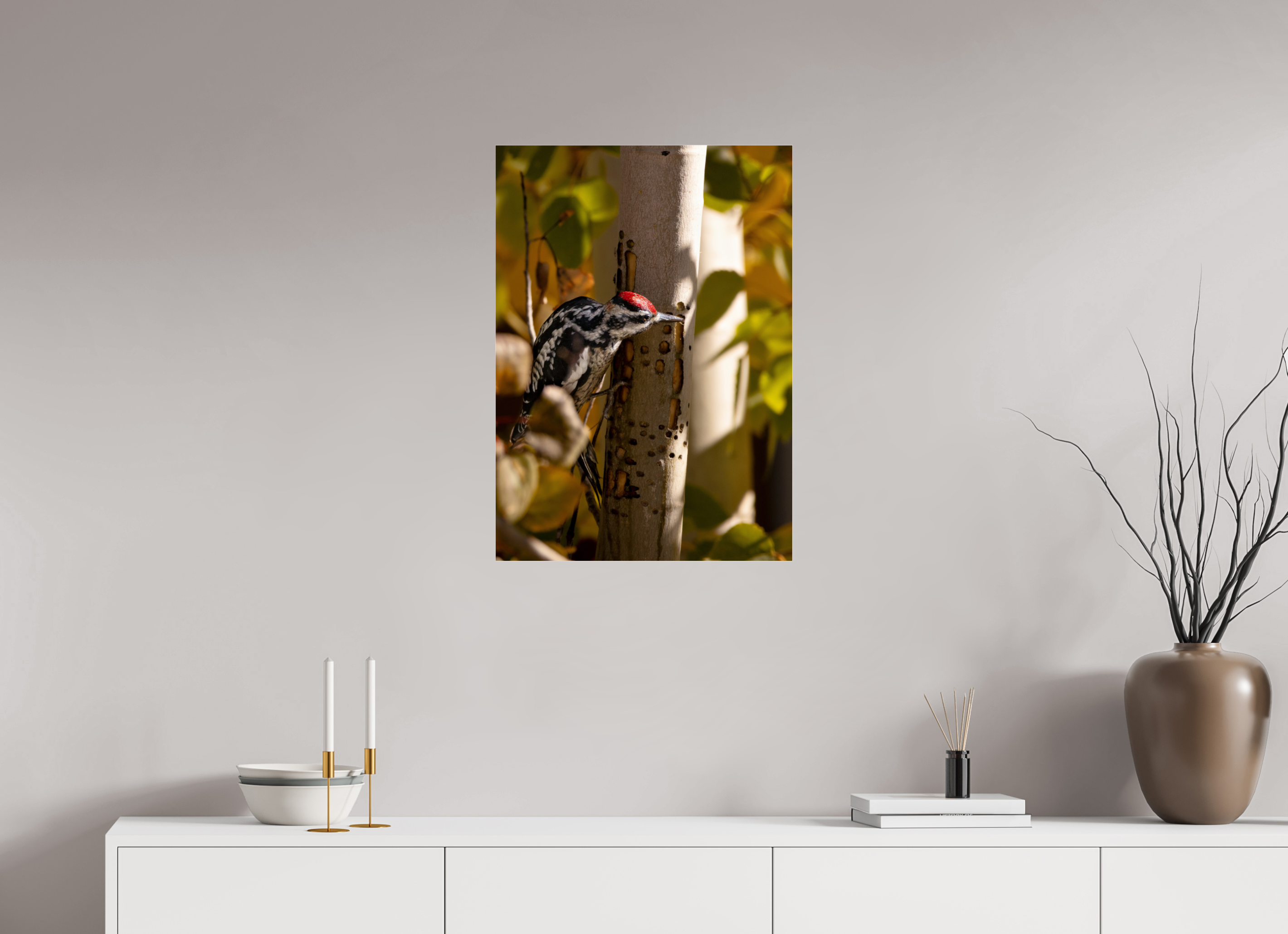 20 x 28″, Photo Print Under Acrylic Glass Downey on the Lookout