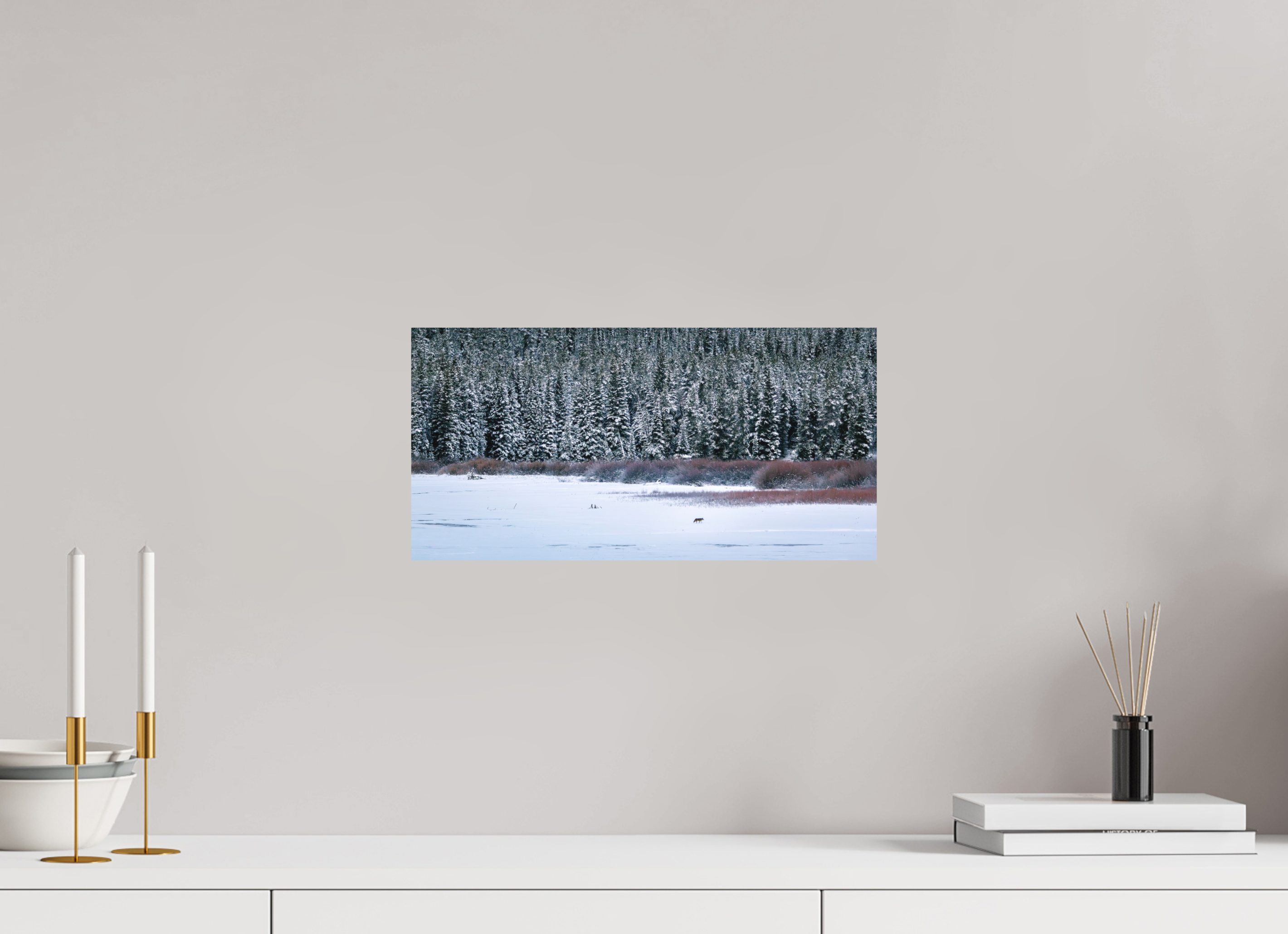 16 x 8″, Aluminum-Backed Matte Print Coyote by the Frozen Lake