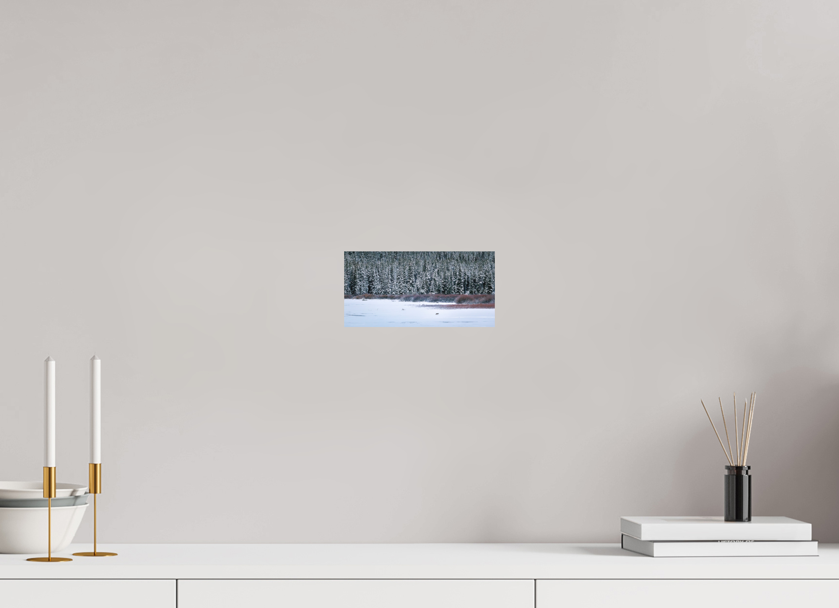 8 x 4″, Aluminum-Backed Matte Print Coyote by the Frozen Lake