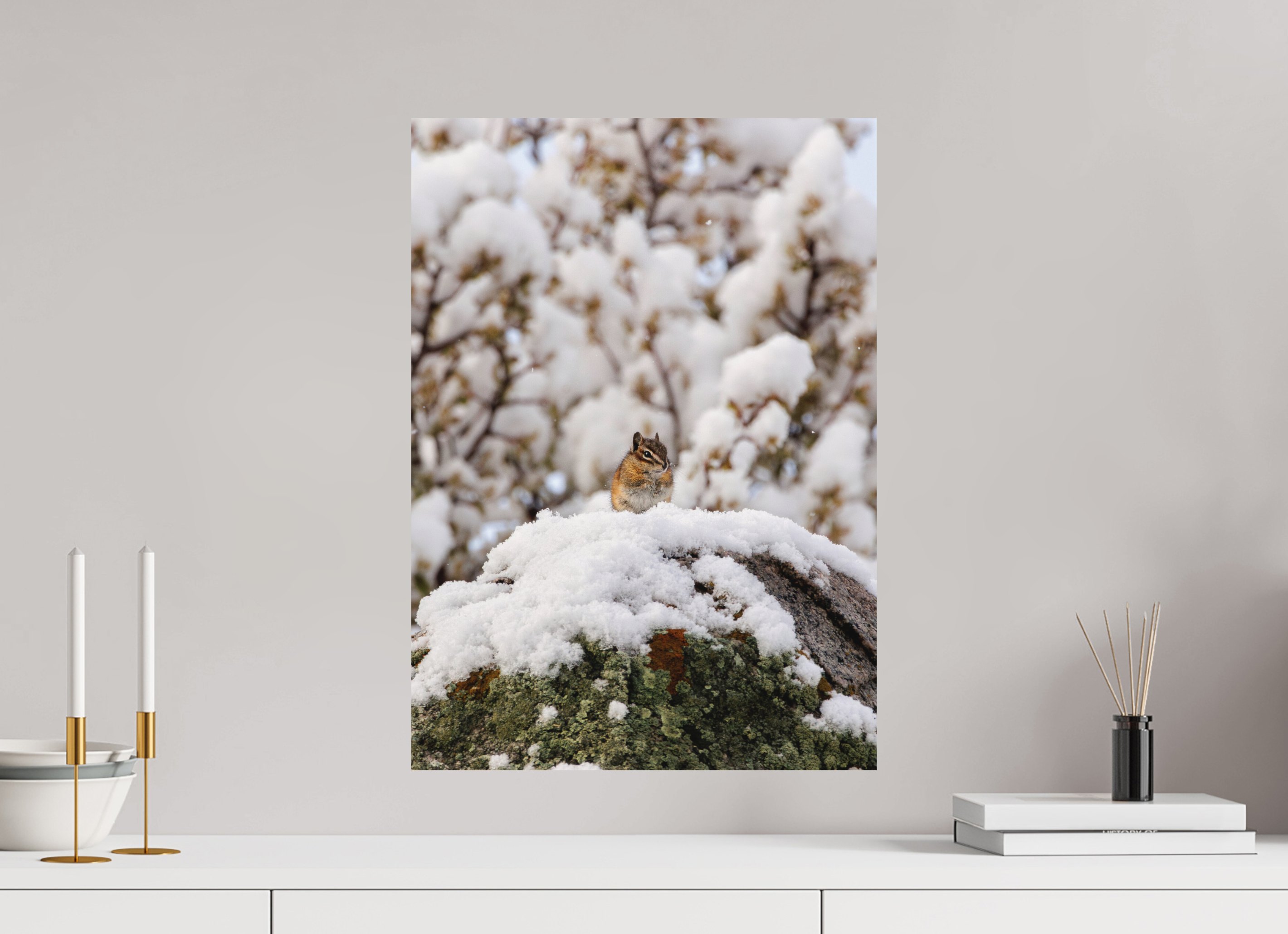 16 x 22.4″, Aluminum-Backed Matte Print Chipmunk on a Snowy Morning