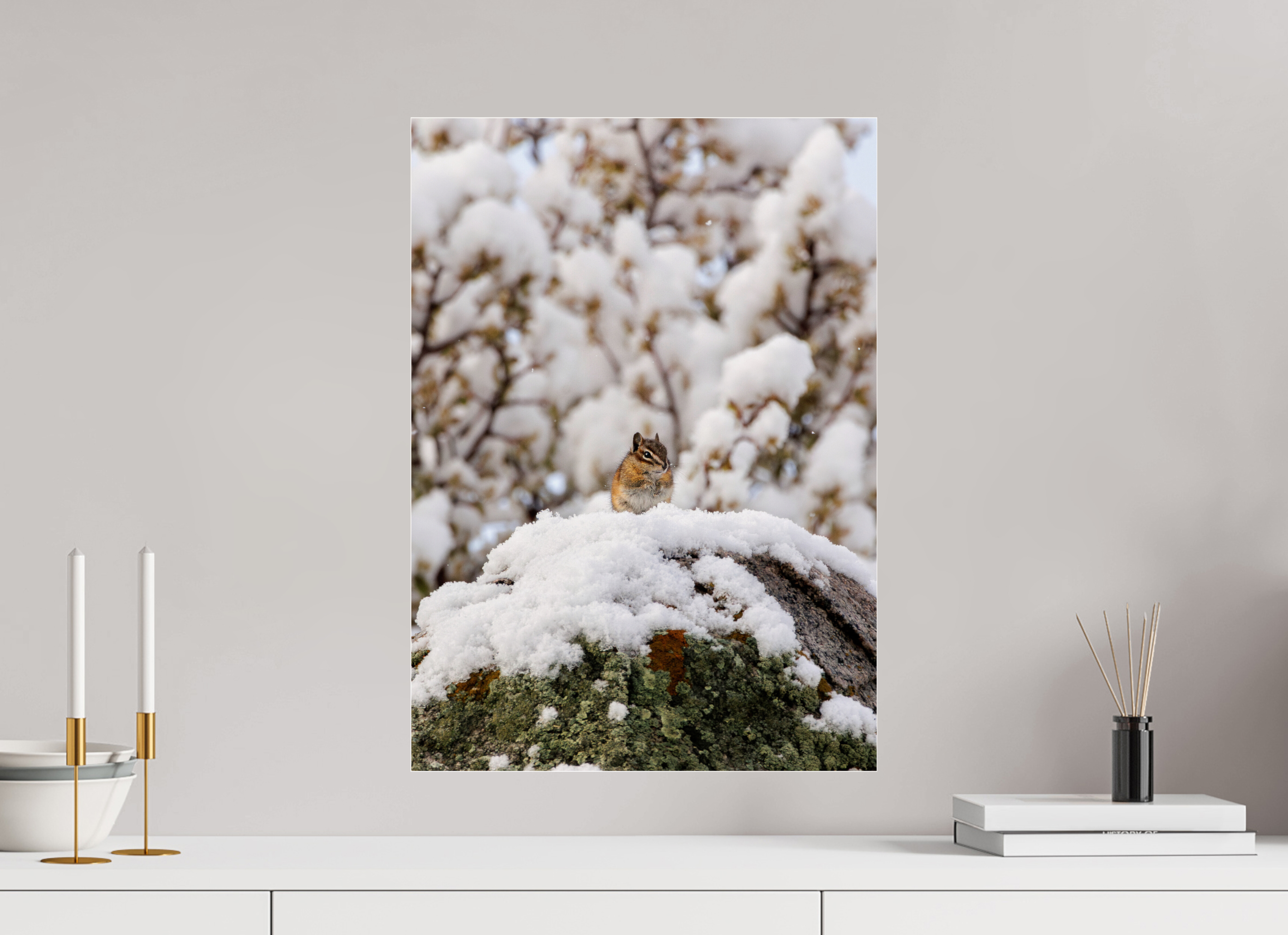 16 x 22.4″, Print Under Acrylic Chipmunk on a Snowy Morning