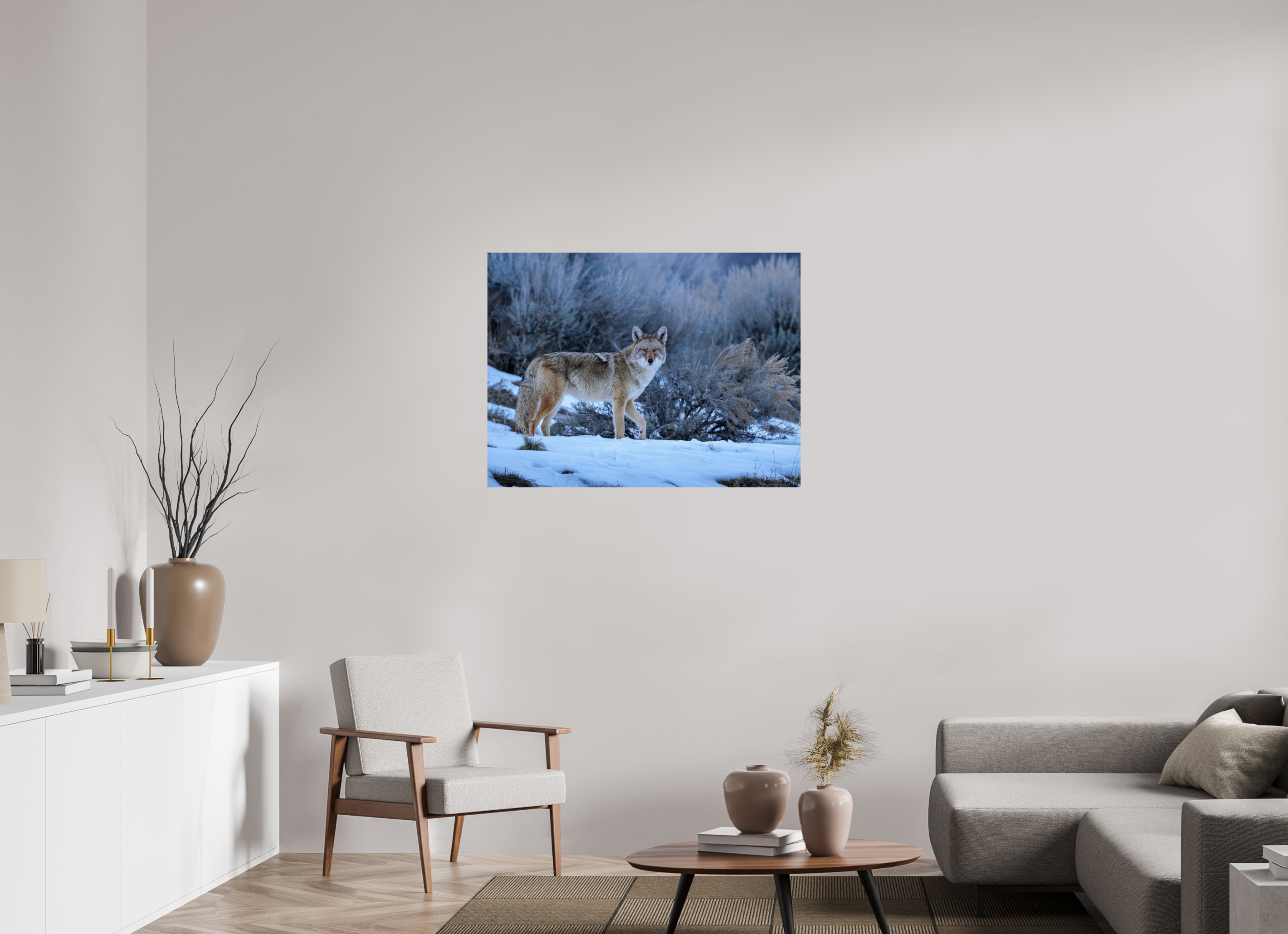 40 x 30″, Basic Glossy Print Coyote in the Sage