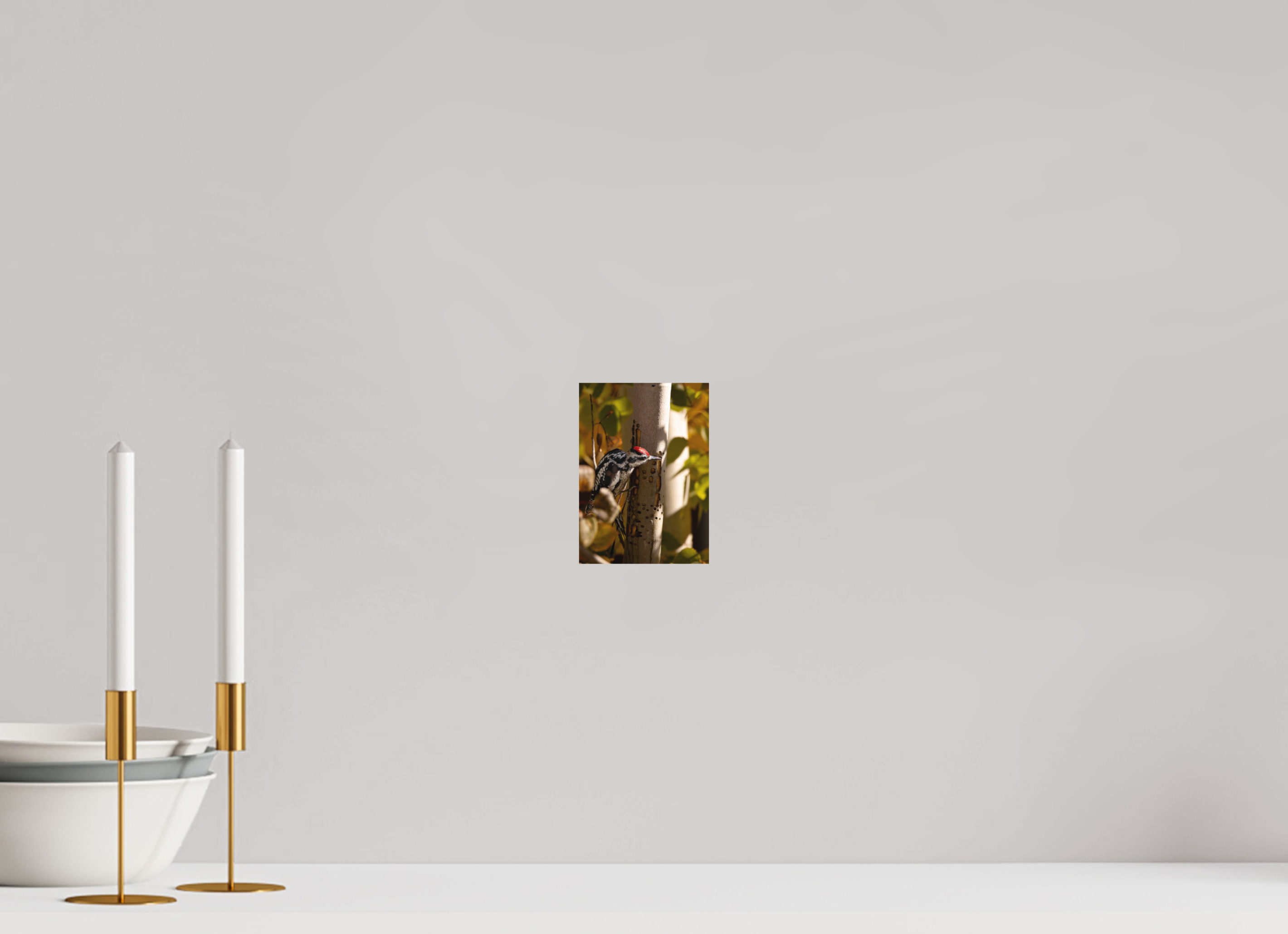 4 x 5.6″, Aluminum-Backed Matte Print Downey on the Lookout