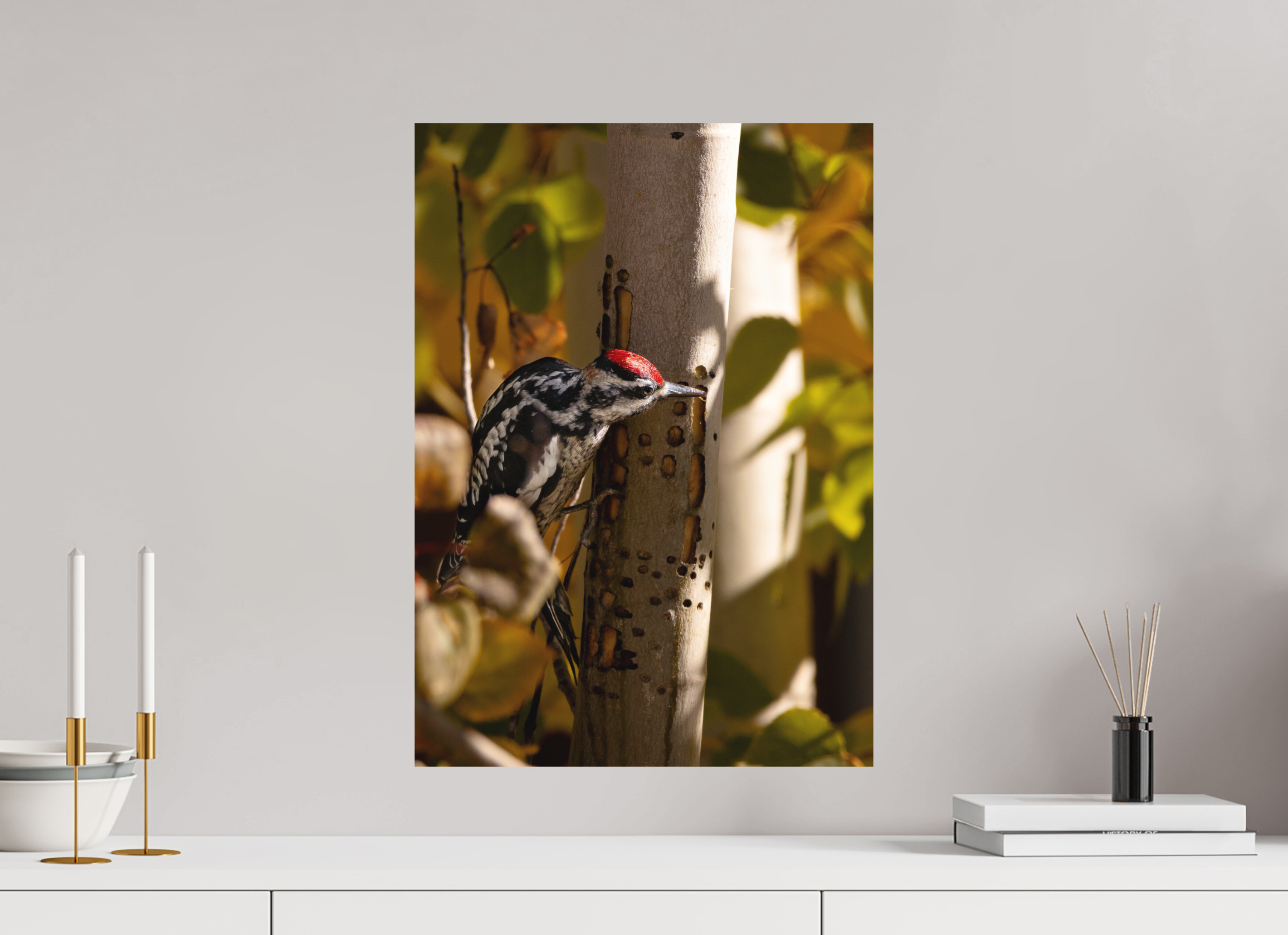 16 x 22.4″, Matte Print Downey on the Lookout