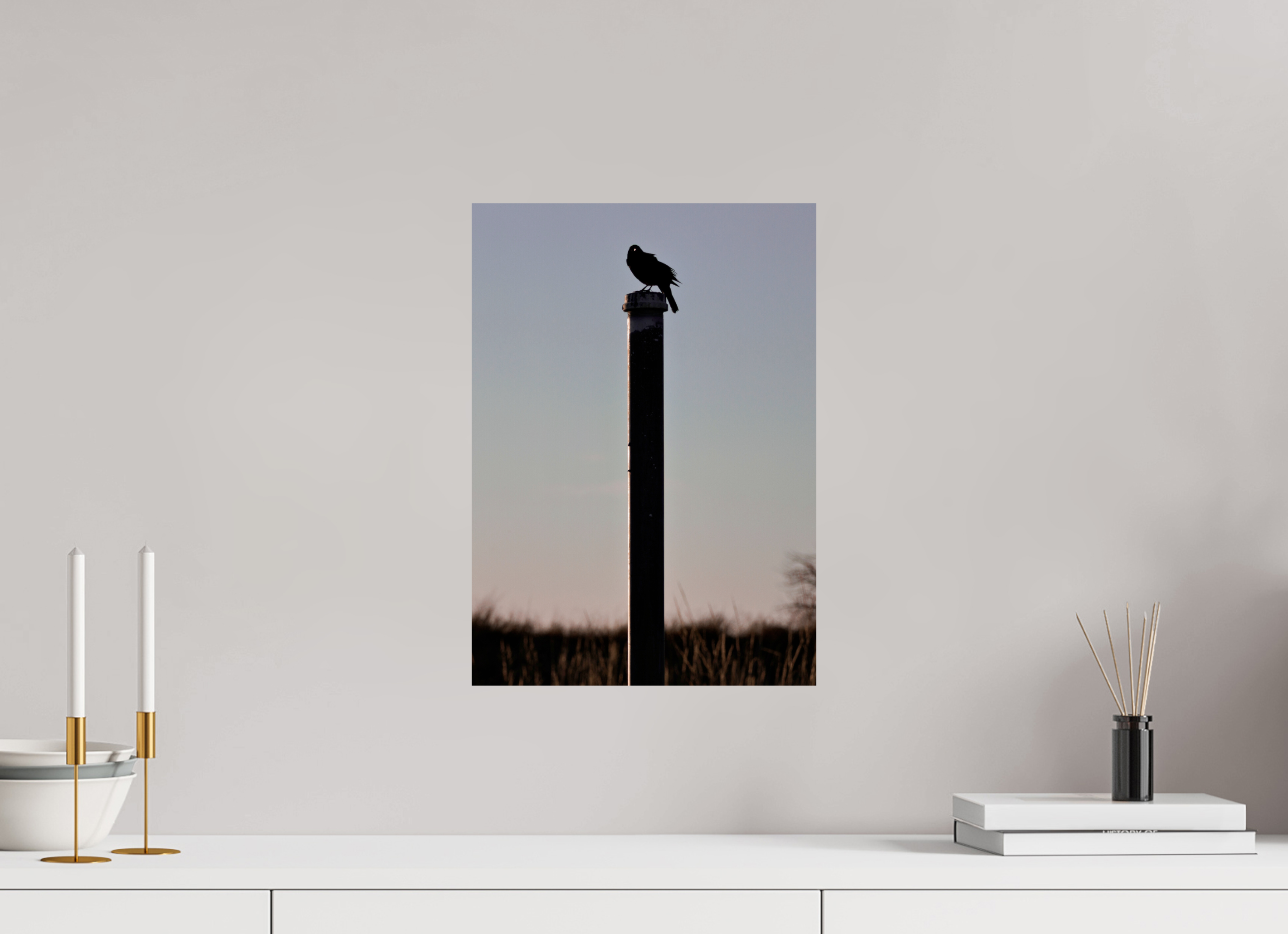 12 x 16.8″, Glossy Print Stare of a Blackbird