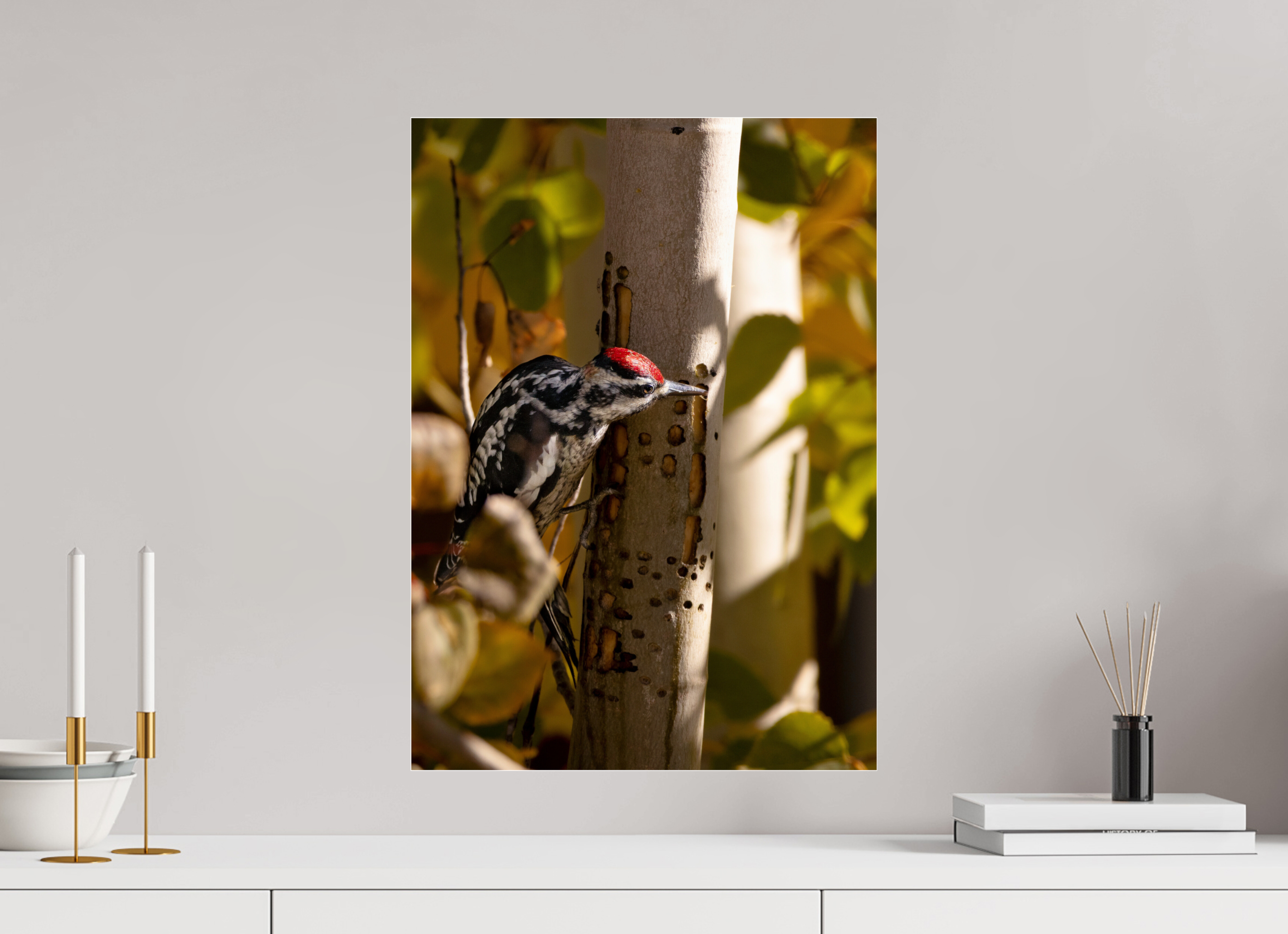 16 x 22.4″, Photo Print Under Acrylic Glass Downey on the Lookout