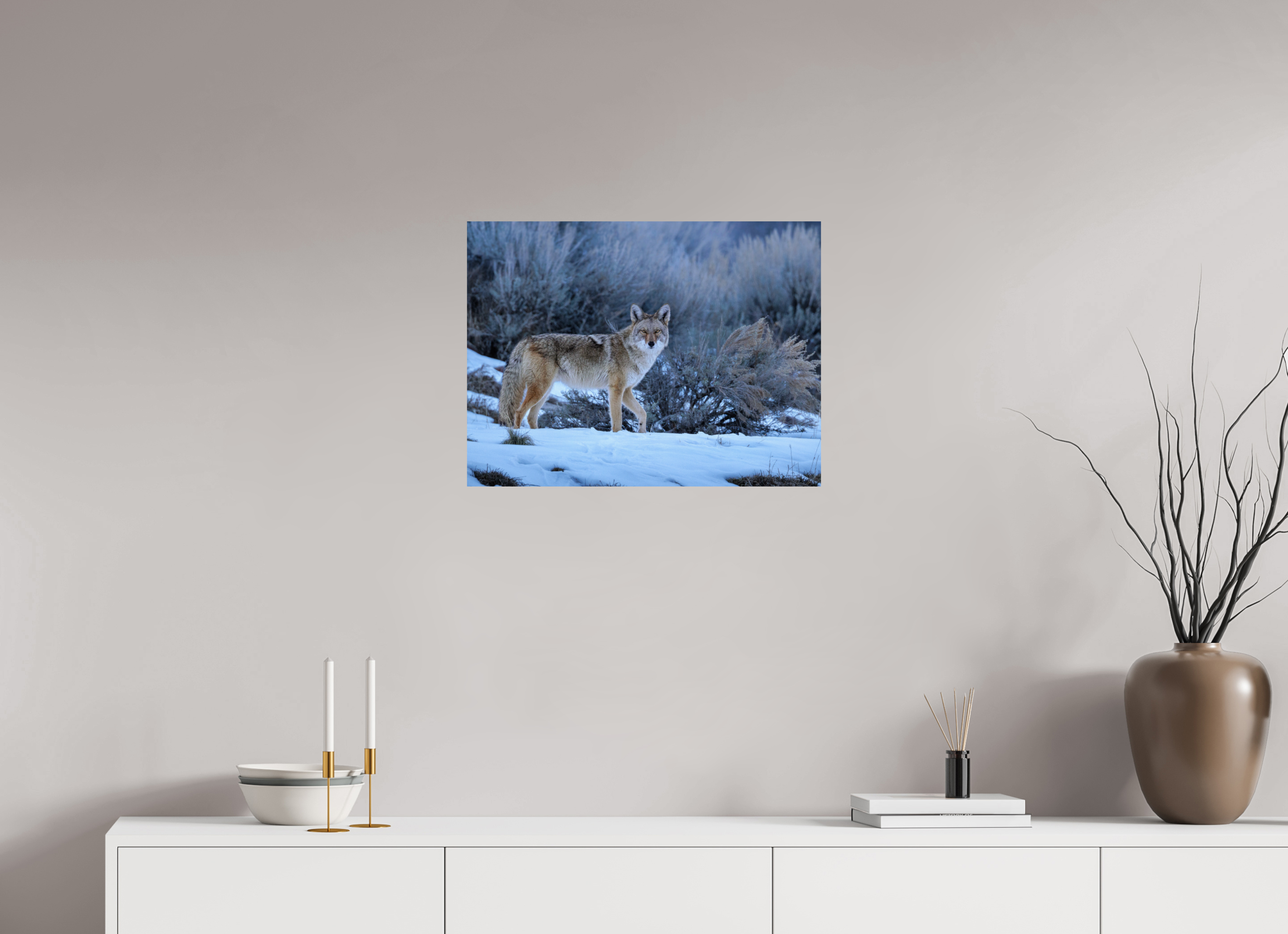 24 x 18″, Basic Glossy Print Coyote in the Sage