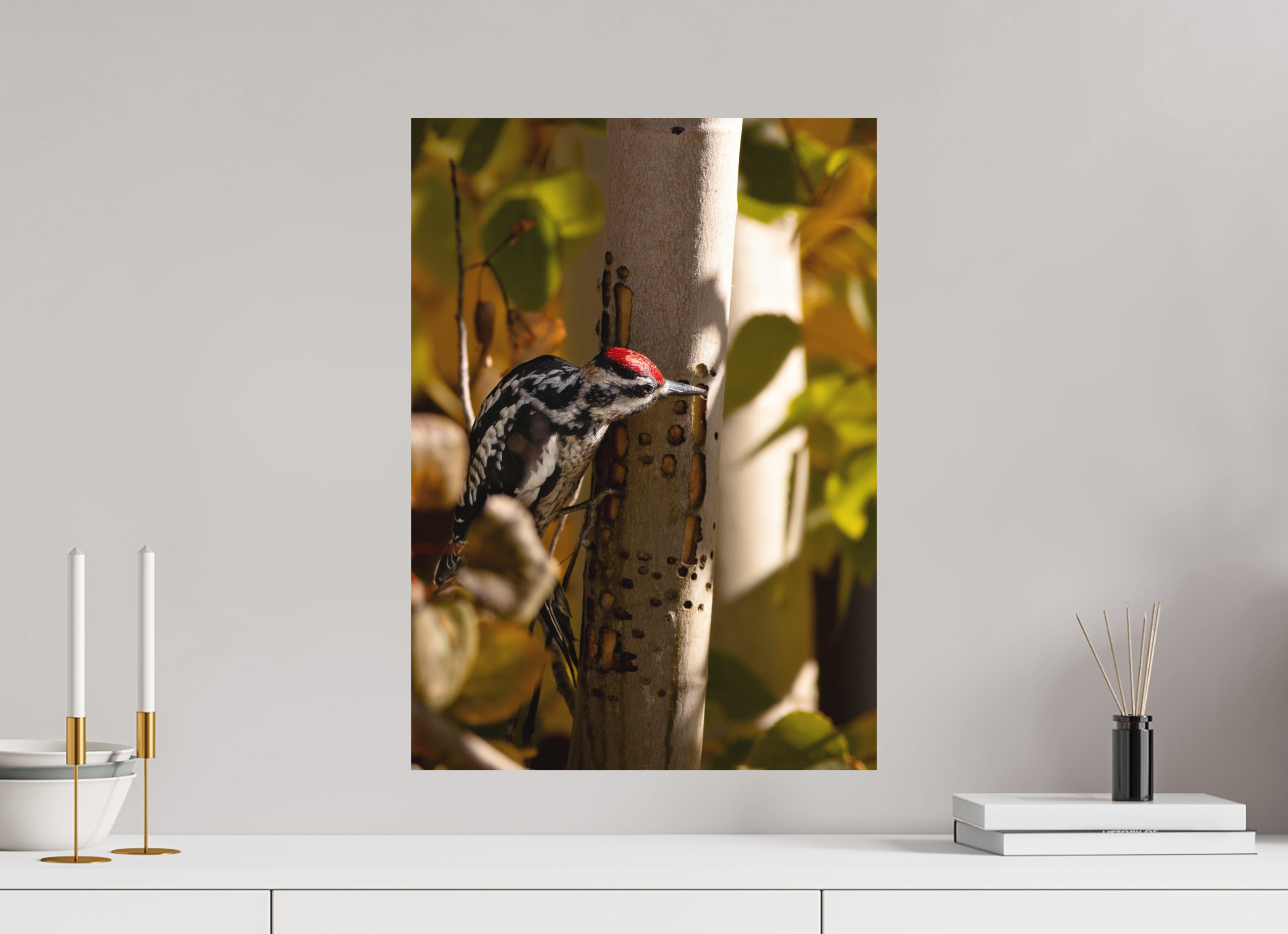 16 x 22.4″, Aluminum-Backed Matte Print Downey on the Lookout