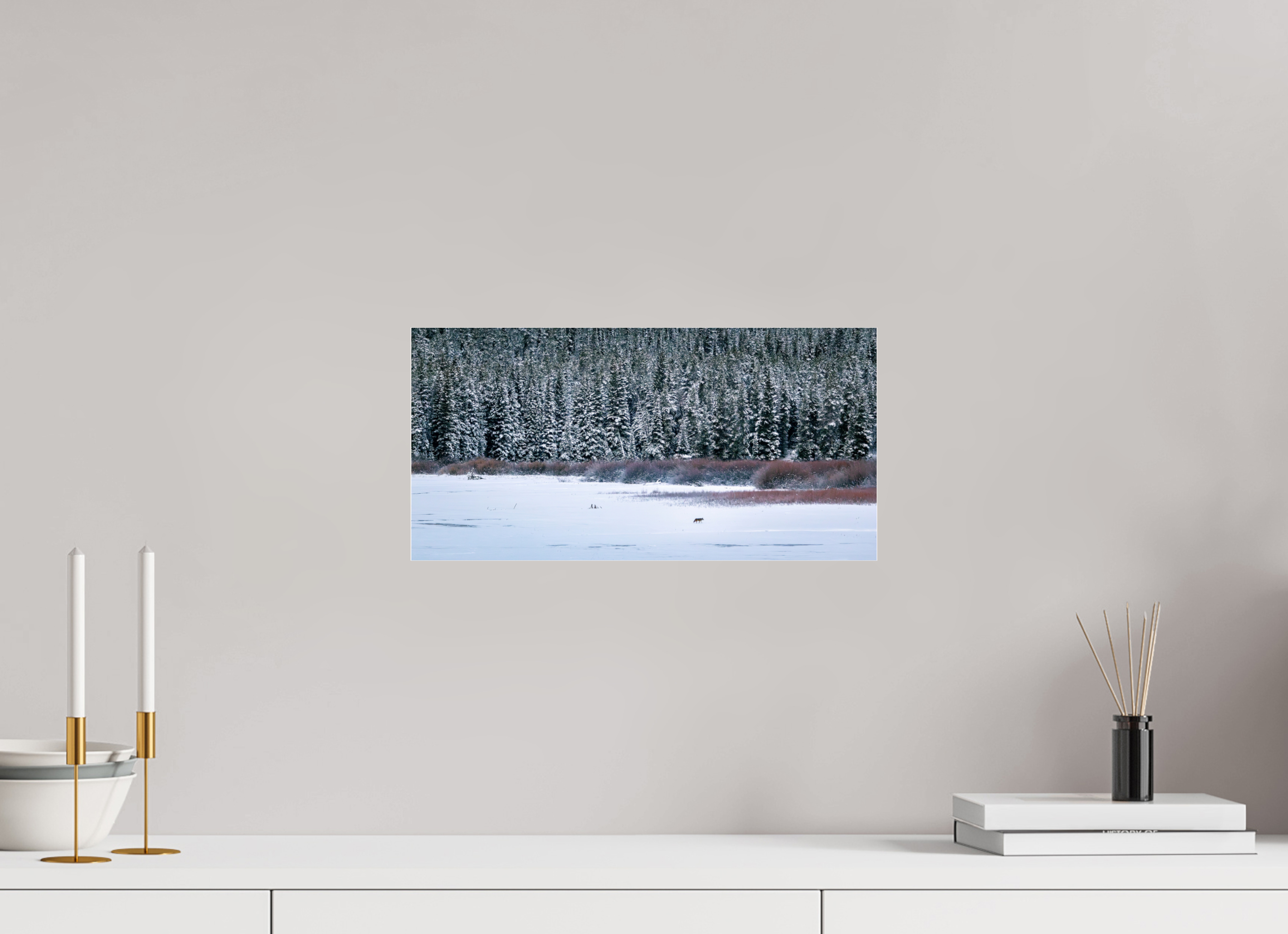 16 x 8″, Print Under Acrylic Coyote by the Frozen Lake