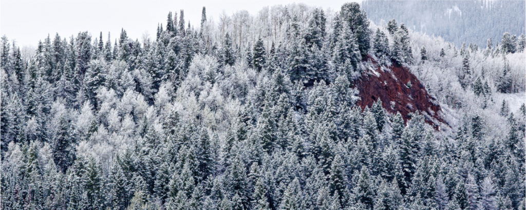 Main image Spring Snow on Red Hill