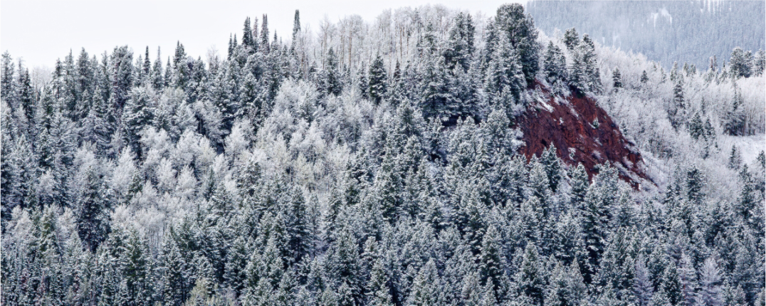 Main image Spring Snow on Red Hill