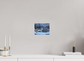 8 x 6″, Basic Glossy Print Coyote in the Sage