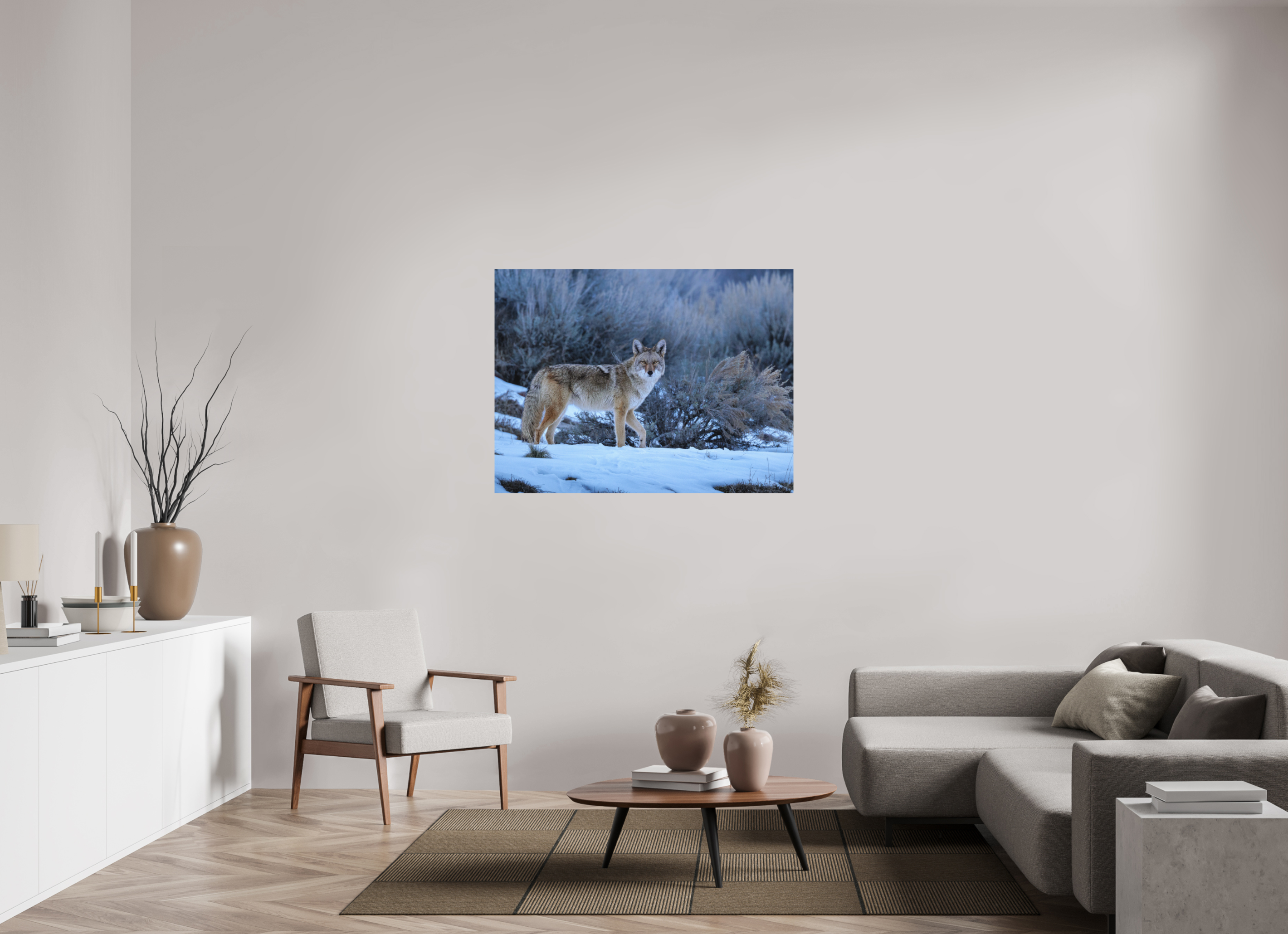 48 x 36″, Aluminum-Backed Matte Print Coyote in the Sage